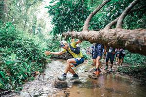 BIB: 
                            <button type="button" onclick="openModal(25373262)" class="btn btn-primary btn-sm float-right btn-popup" data-toggle="modal" data-target=".modal-high-quality">
                        <i class="fas fa-shopping-cart"></i> Add to Cart
                    </button>
                                            <button type="button" onclick="isThisMe(25373262, true)" class="btn btn-success btn-sm float-right btn-popup btn-isme hidden" data-toggle="tooltip" data-placement="bottom" title="นี่คือรูปของคุณใช่ไหม คลิกที่นี่เพื่อเอาเข้าอัลบั้ม">
                        <i class="fas fa-plus"></i> Add to album
                    </button>
                    <button type="button" onclick="isThisMe(25373262, false)" class="btn btn-warning btn-sm float-right btn-popup btn-isnotme hidden">
                        <i class="fas fa-ban"></i> Remove from album
                    </button>